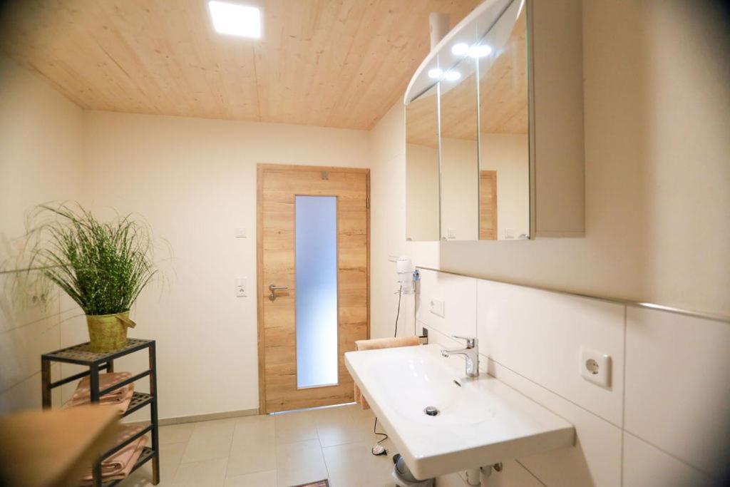 Daheim Im Geissetal Apartment St. Blasien Luaran gambar