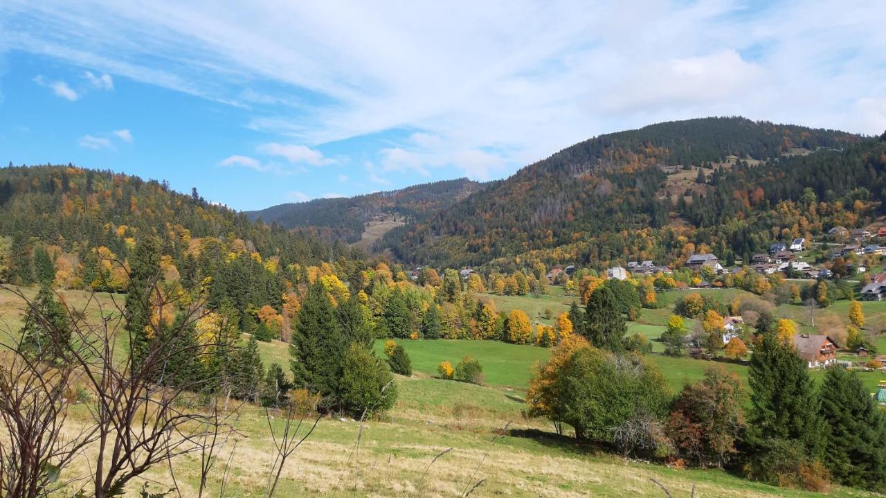 Daheim Im Geissetal Apartment St. Blasien Luaran gambar